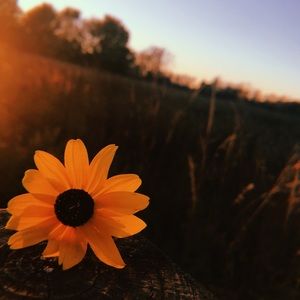 Meet your Posher, Ashlynn